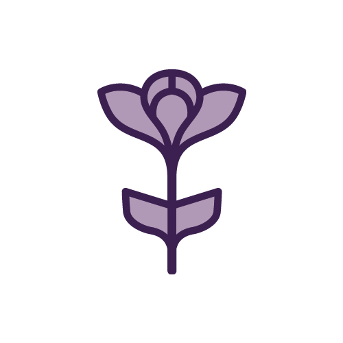 Girton Flower Purple