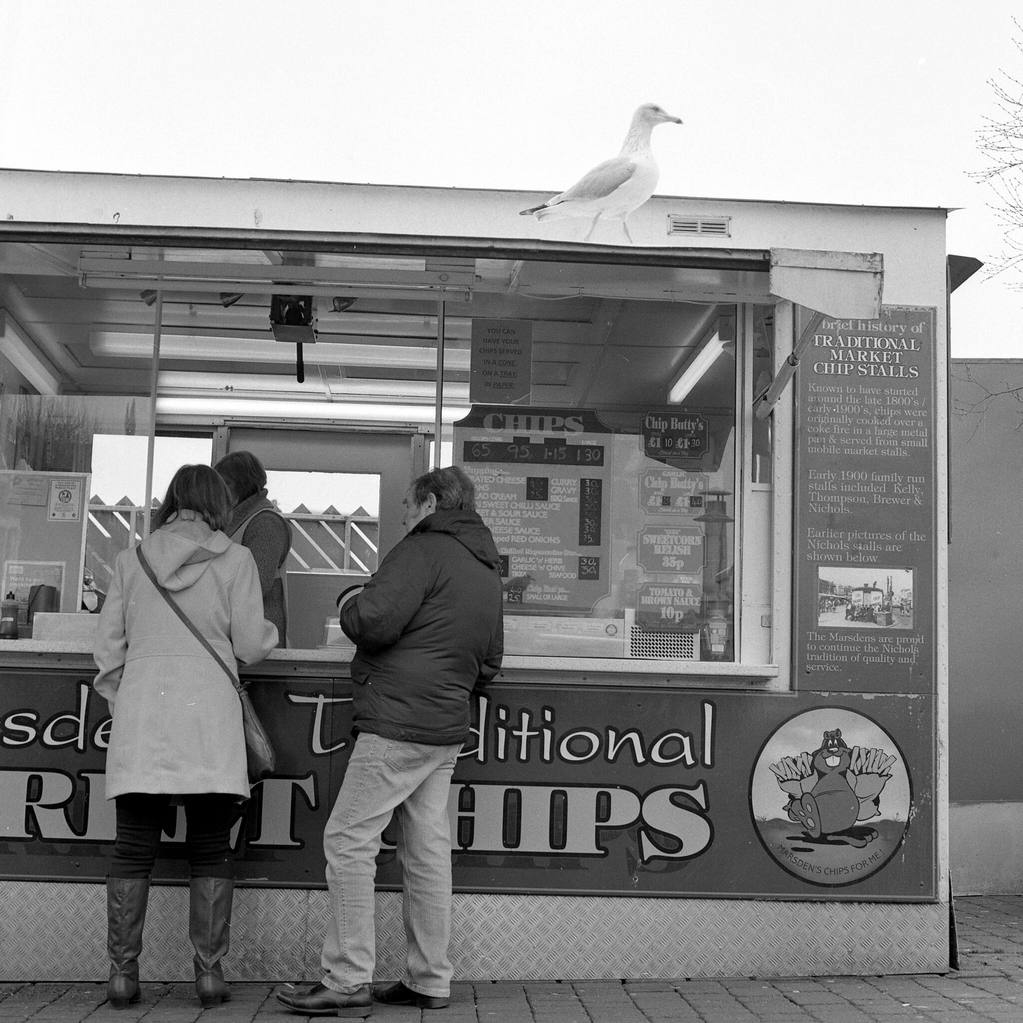 Seagull n' chips at Great Yarmouth by Trojan Llama 