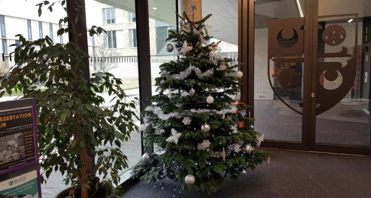 Christmas tree in hall way