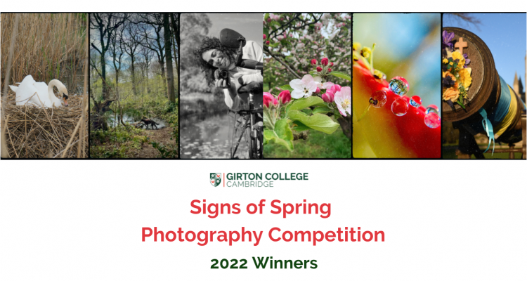 collage of the winners photographs