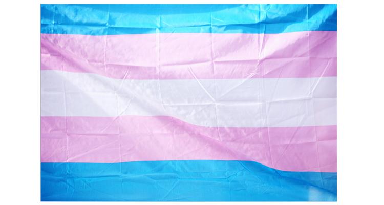 Transgender flag. Photo by Sharon McCutcheon on Unsplash
