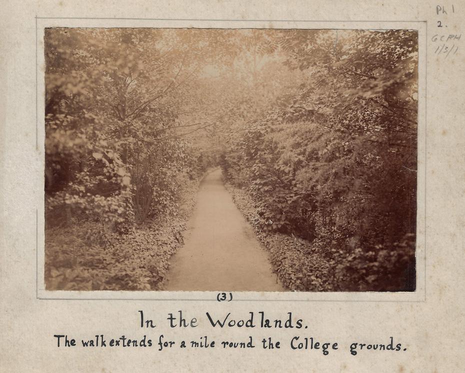 Early photograph of the Woodland Walk, taken by an unknown photographer, circa 1897 (archive reference: GCPH 1/3/1).