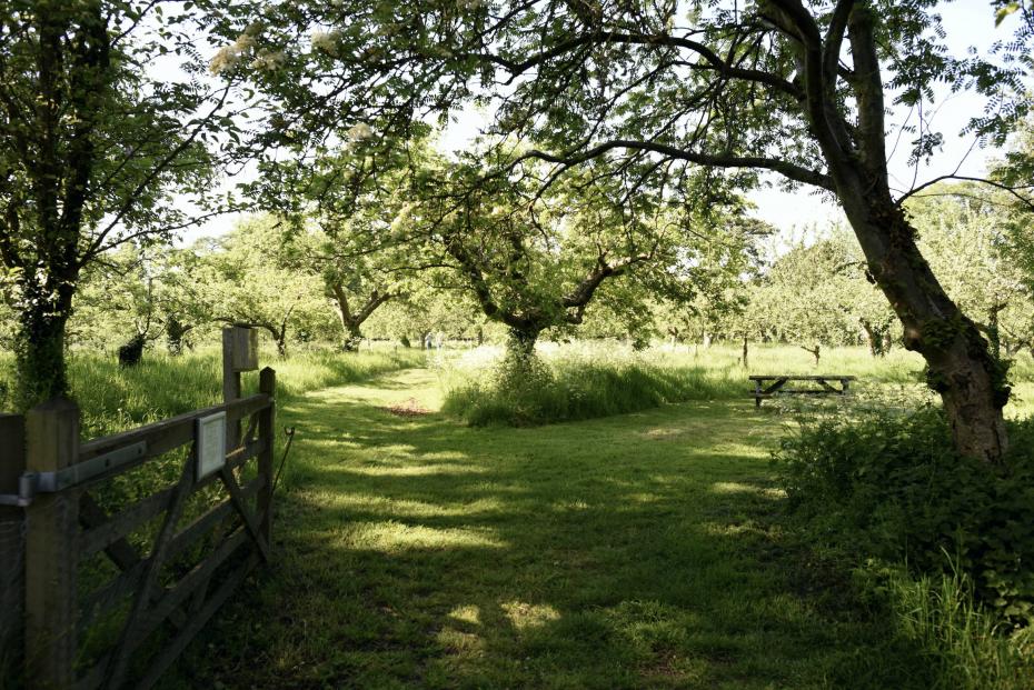 Entrance to Orchard