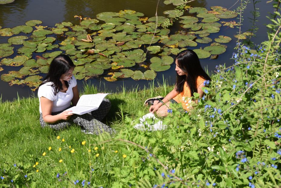 Student sitting by the pond