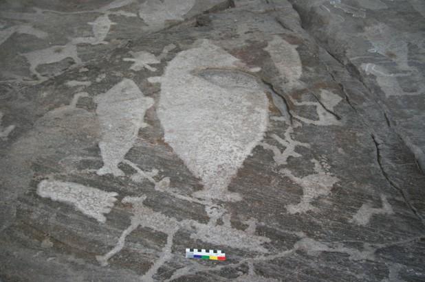 Rock art - scene of whale hunt, taken by Dr Liliana Janik